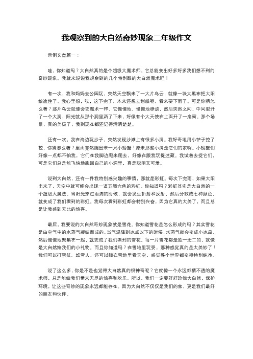 我观察到的大自然奇妙现象二年级作文