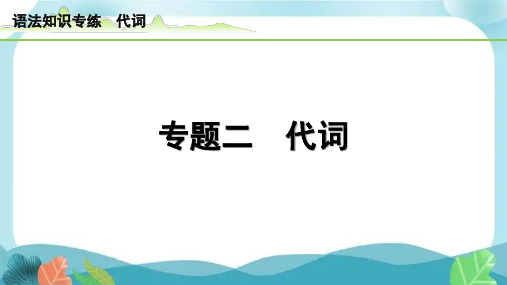 中考总复习人教版英语2-专题二 代词(精练册)