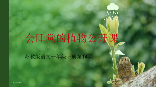 会睡觉的植物公开课课件苏教版语文一年级下册第14课