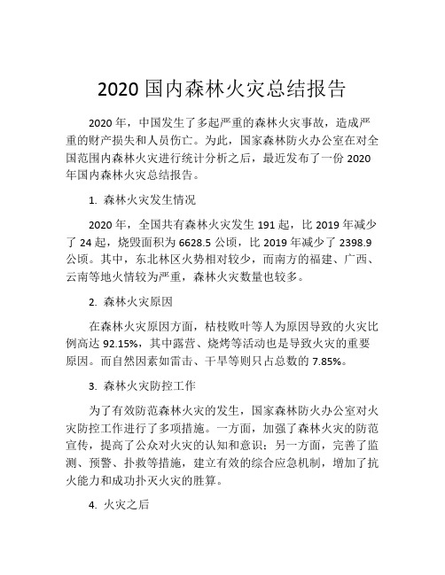 2020国内森林火灾总结报告