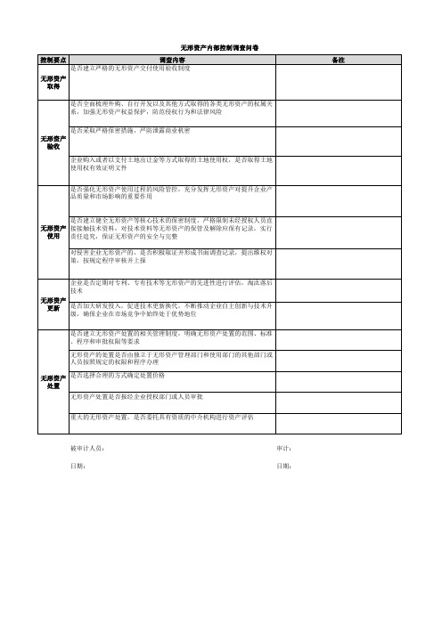 无形资产内部控制调查问卷