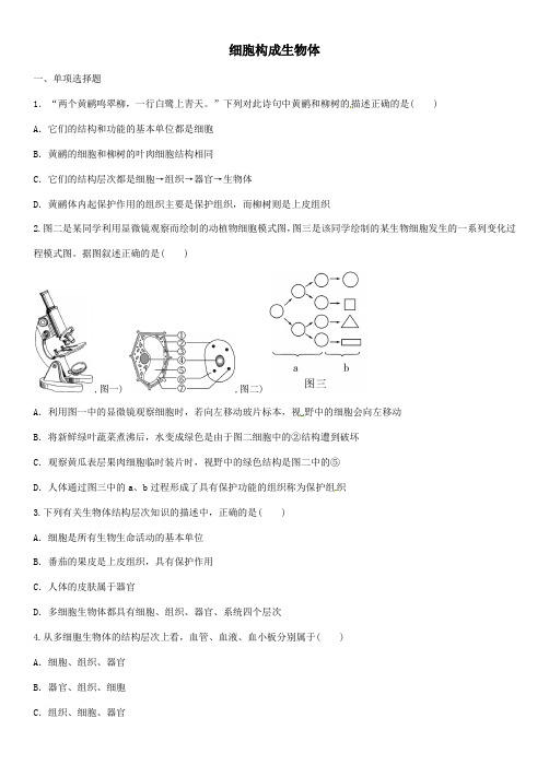 2020年中考生物一轮复习知识点练习卷：细胞构成生物体