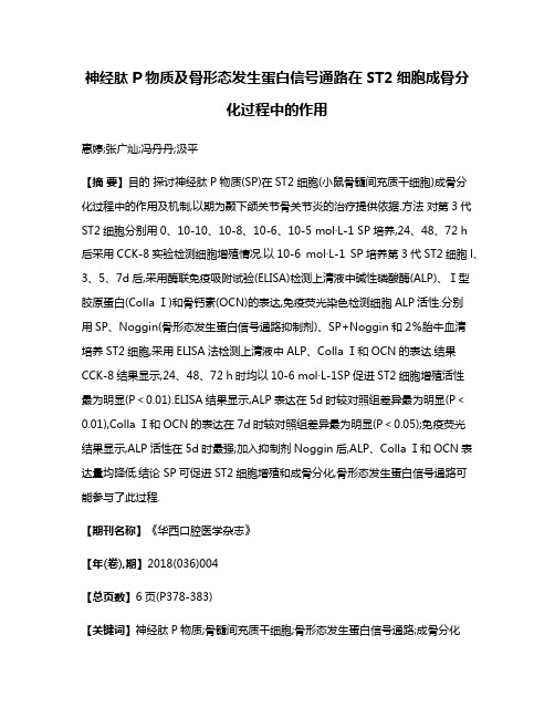 神经肽P物质及骨形态发生蛋白信号通路在ST2细胞成骨分化过程中的作用