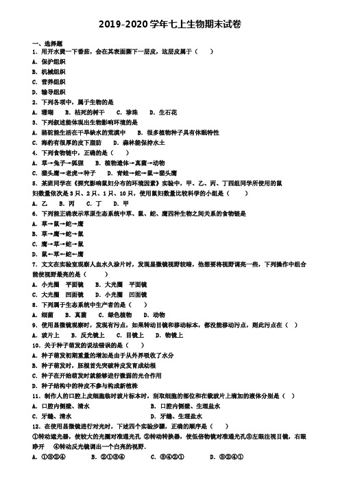 (4份试卷汇总)2019-2020学年河南省驻马店市生物七年级(上)期末质量检测模拟试题