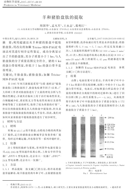 羊和猪胎盘肽的提取