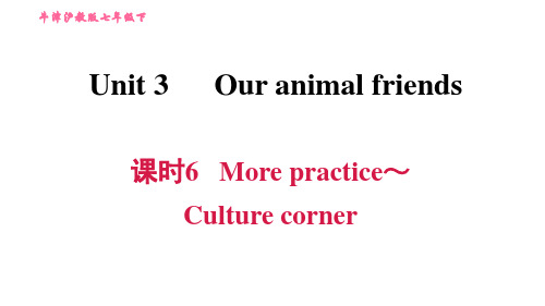 沪教牛津版七年级上册英语 Unit3 课时6 More practice～Culture cor课件