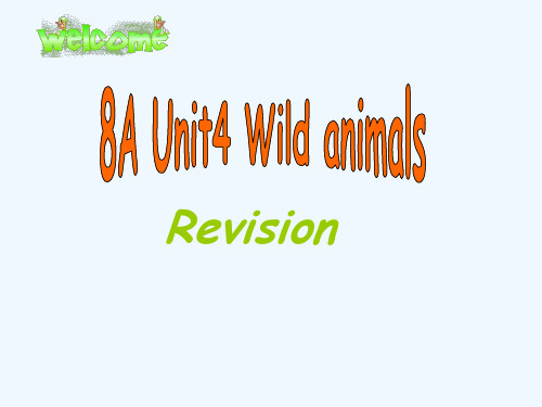 八年级英语上册-Unit-4《Wild-animals》复习课件-牛津译林版