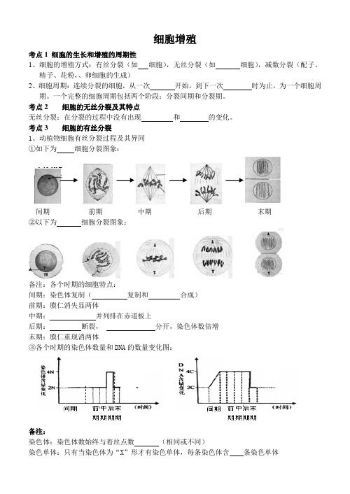 细胞分裂知识点