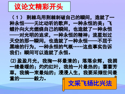 2021年行文思路分析精品资料PPT