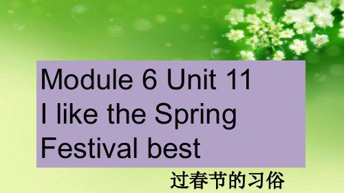 【广州版】六年级英语上册 Unit 11 I like the spring festival