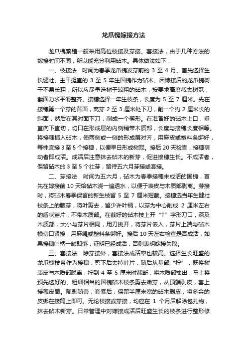 龙爪槐嫁接方法