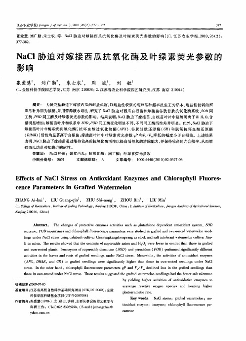 NaCl胁迫对嫁接西瓜抗氧化酶及叶绿素荧光参数的影响