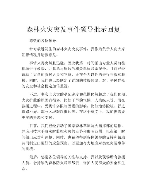 森林火灾突发事件领导批示回复