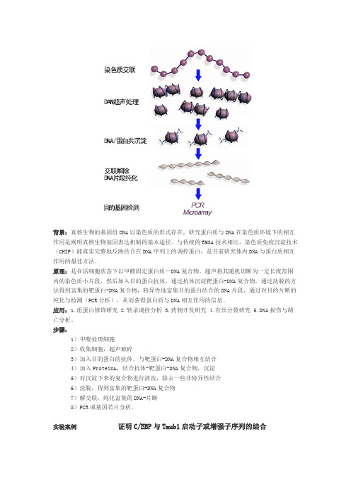 热点实验：CHIP染色质免疫共沉淀实验案例介绍