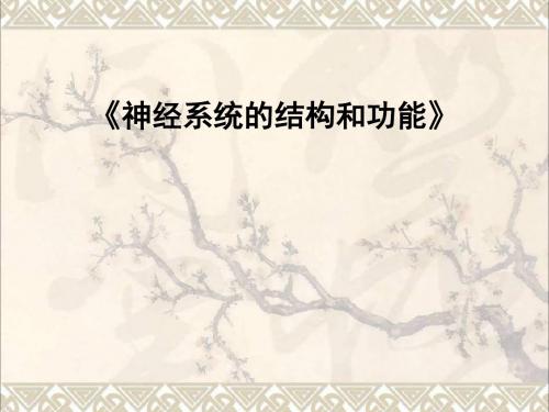 高中生物第二章2.2神经系统的结构和功能教学设计课件浙科版必修3