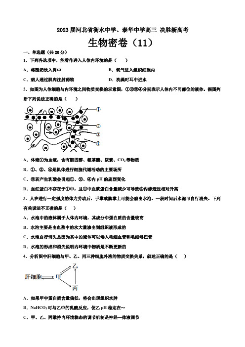 2023届河北省衡水中学泰华中学高三决胜新高考生物密卷(11)