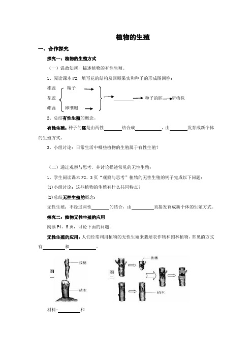 鲁科版-生物-八年级下册-鲁科生物八下 植物的生殖 课堂作业