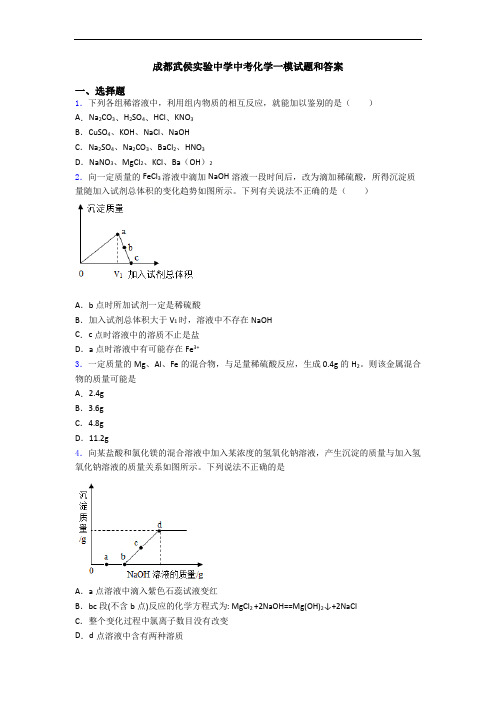 成都武侯实验中学中考化学一模试题和答案