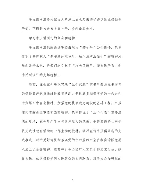 学习牛玉儒精神心得体会范文