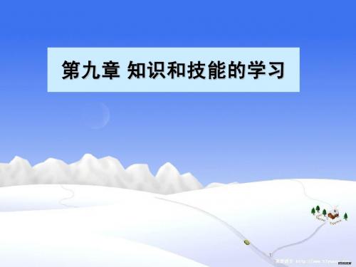 9.知识和技能的学习