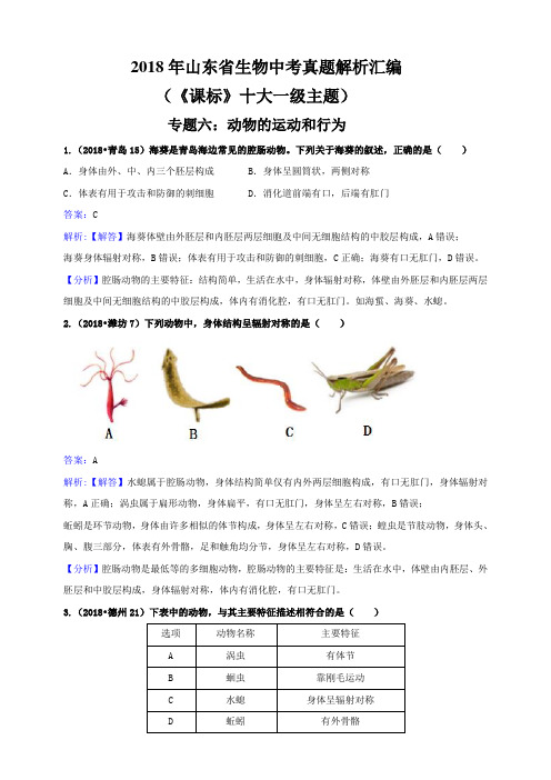 2018年山东省生物中考真题解析汇编专题六：动物的运动和行为(解析卷)