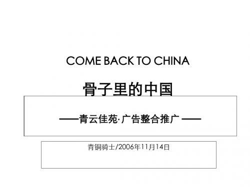 某楼盘广告整合推广PPT(45张)