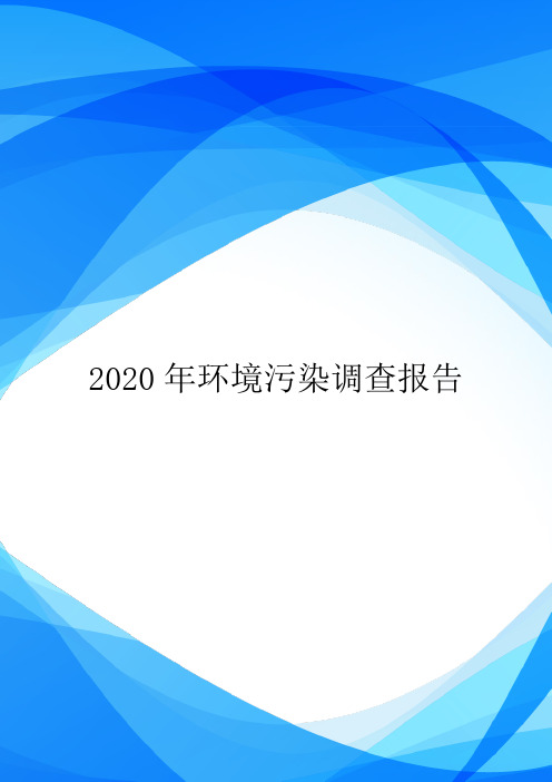 2020年环境污染调查报告.doc