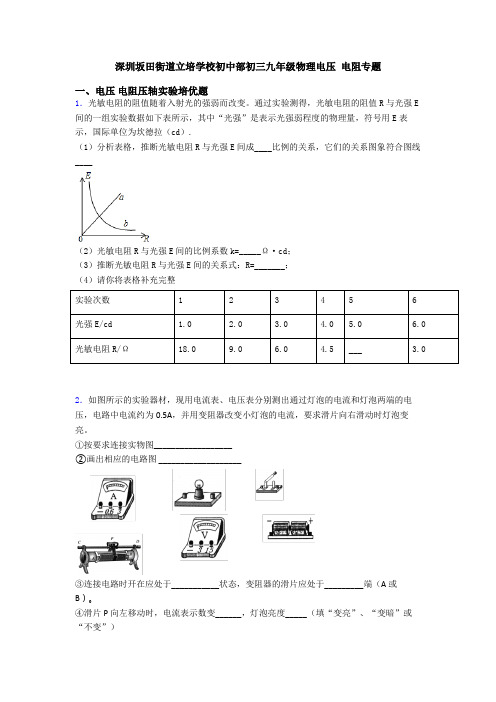 深圳坂田街道立培学校初中部初三九年级物理电压 电阻专题