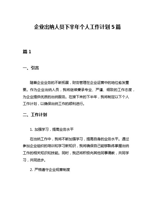 企业出纳人员下半年个人工作计划5篇