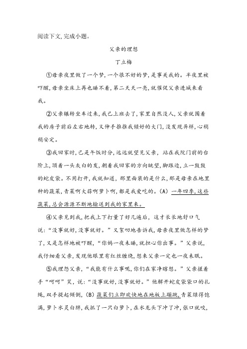 《父亲的理想》阅读练习及答案