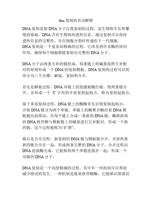 dna复制的名词解释