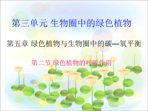 初中生物《绿色植物的呼吸作用》公开课优秀课件