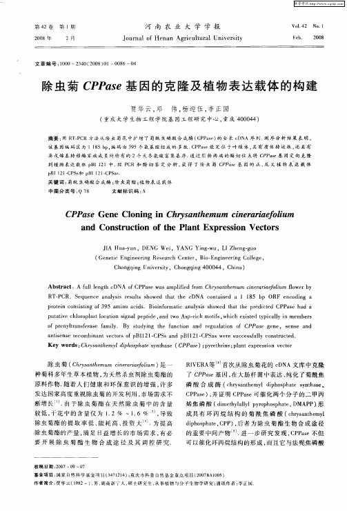 除虫菊CPPase基因的克隆及植物表达载体的构建
