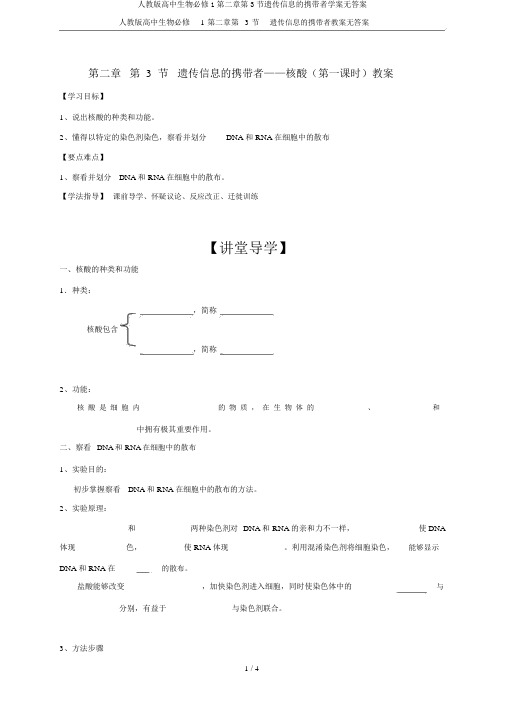 人教版高中生物必修1第二章第3节遗传信息的携带者学案无答案