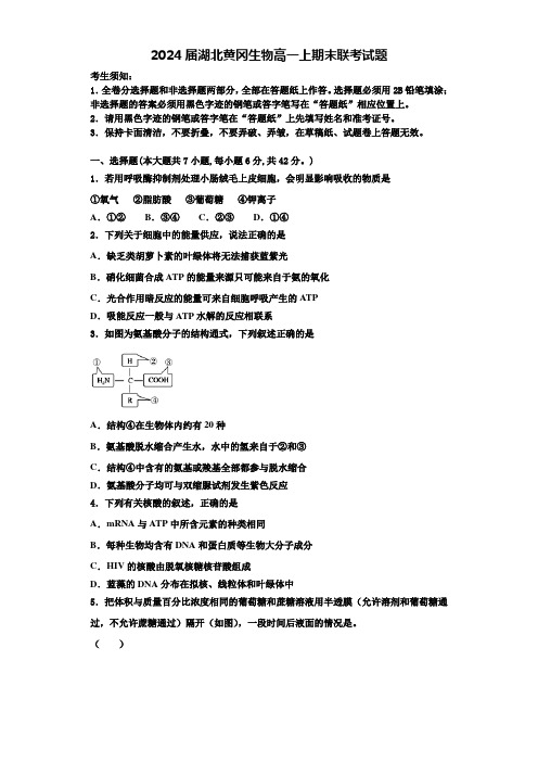 2024届湖北黄冈生物高一上期末联考试题含解析