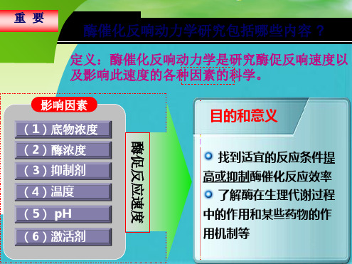  酶催化反应动力学(共49张PPT)