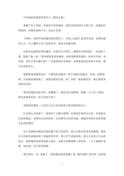 写美丽的玫瑰花优秀作文(精选3篇)(最新)
