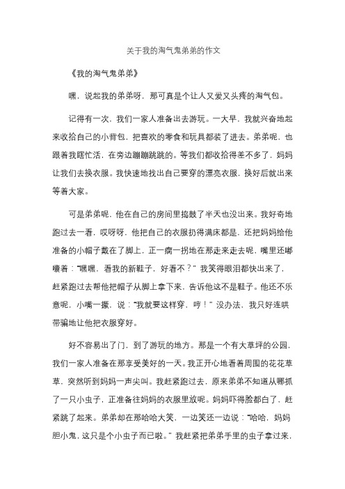 关于我的淘气鬼弟弟的作文