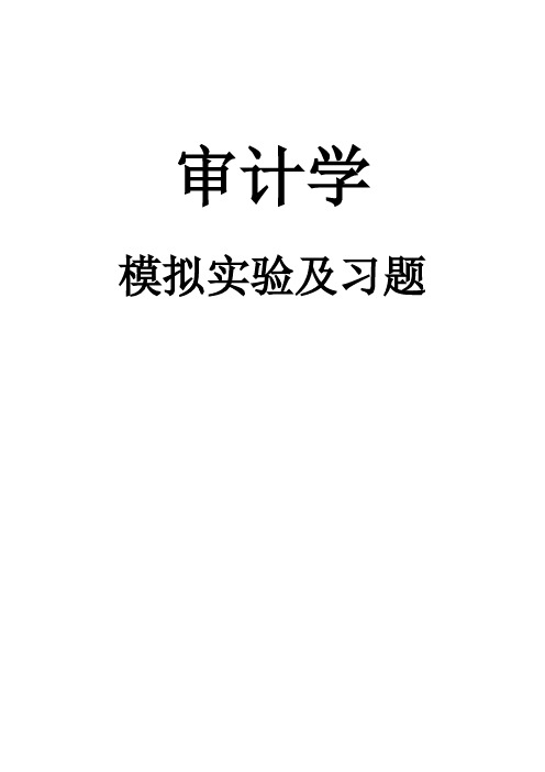 审计学模拟实验