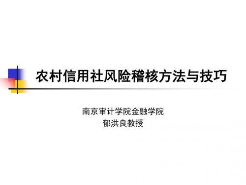 农村信用社风险审计方法及技巧PPT(65张)