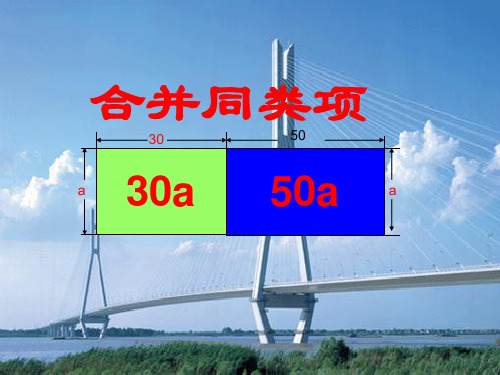 七年级数学上册《3.4合并同类项》课件一 苏科版