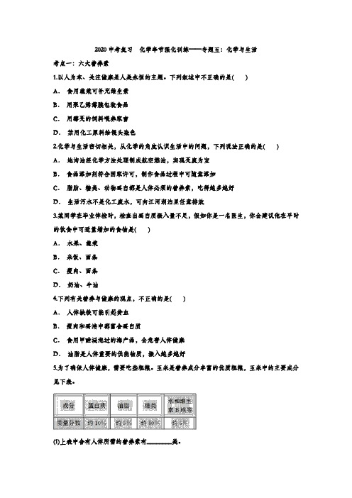 2020中考复习  化学章节强化训练——专题五：化学和生活