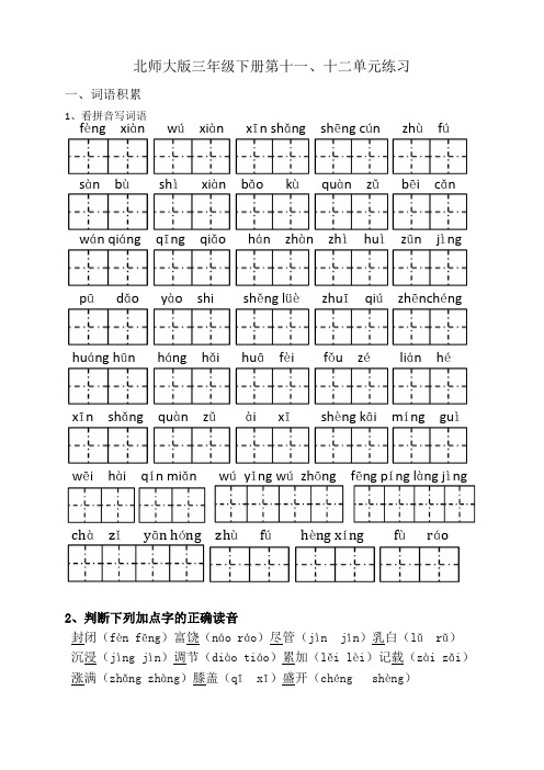 06北师大版三年级下册第十一、十二单元练习
