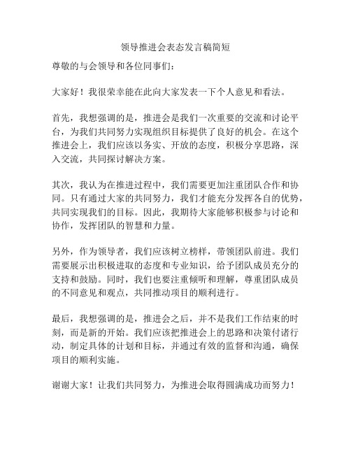 领导推进会表态发言稿简短