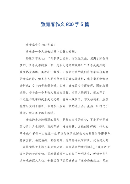 致青春作文800字5篇