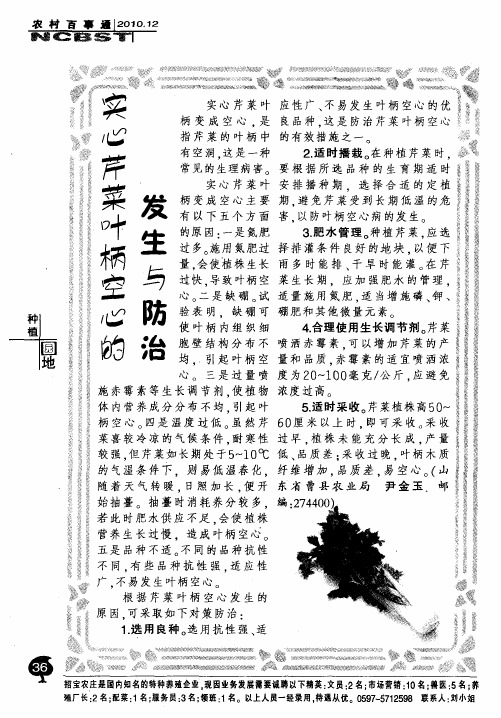 实心芹菜叶柄空心的发生与防治