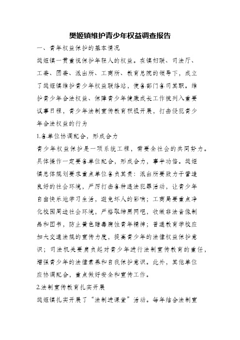 (精编)樊姬镇维护青少年权益调查报告