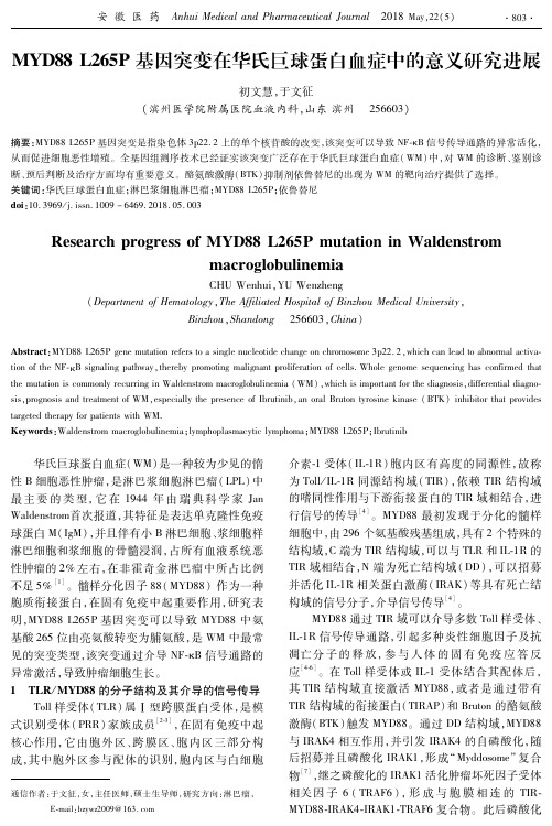 MYD88 L265P基因突变在华氏巨球蛋白血症中的意义研究进展