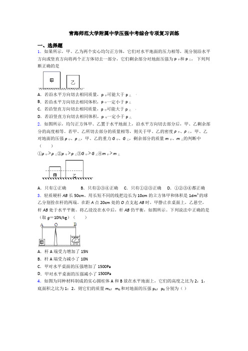 青海师范大学附属中学压强中考综合专项复习训练