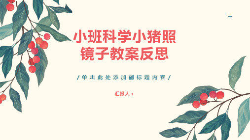 小班科学小猪照镜子教案反思